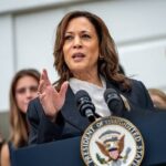 2024 DNC: Democrats Play It Safe with Time-Tested Platform Themes